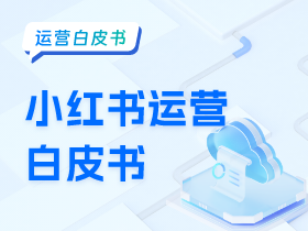 小红书运营白皮书