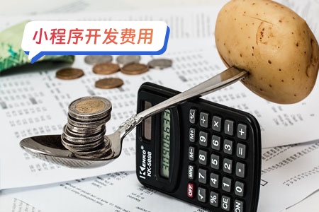 开发一个证件照小程序的成本分析