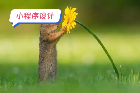 小程序设计中的温暖人心的元素