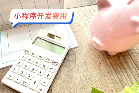 1开发一个P图小程序需要花多少钱