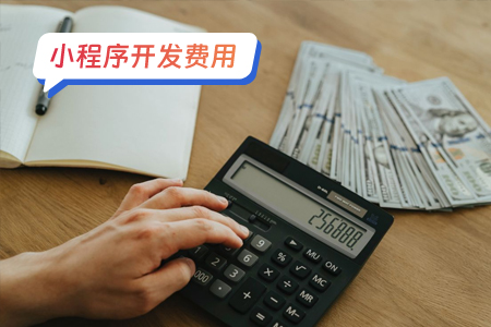 1开发一个P图小程序需要花多少钱