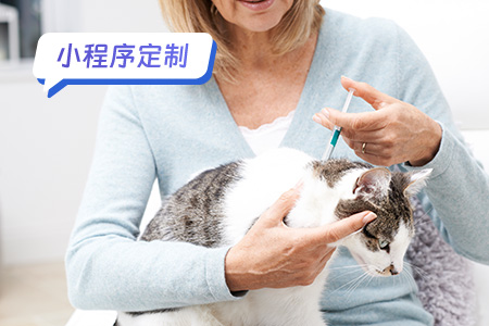 宠物小程序定制需要考虑哪些因素