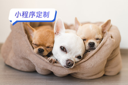 宠物小程序定制需要考虑哪些因素