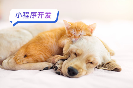 宠物小程序需要开发注意的技术难点