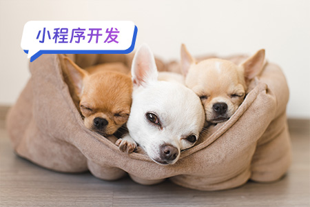 宠物小程序需要开发注意的技术难点