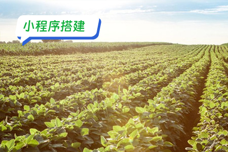 小程序搭建：详细搭建助农小程序