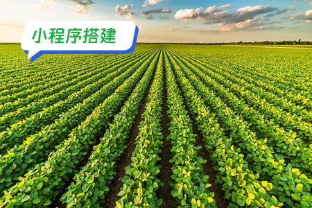 小程序搭建：详细搭建助农小程序