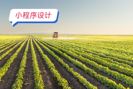 小程序设计：设计助农快讯了解实时政策