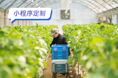 小程序定制农易助手 一个创新的农业平台