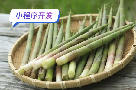 乡村农村特产小程序开发