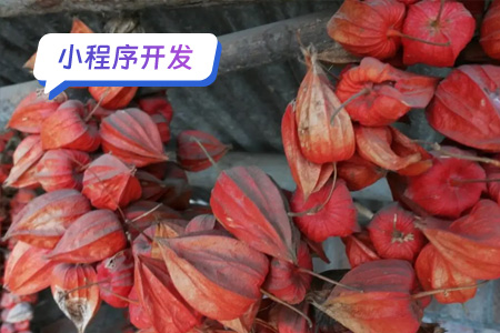 乡村农村特产小程序开发周期及工作量