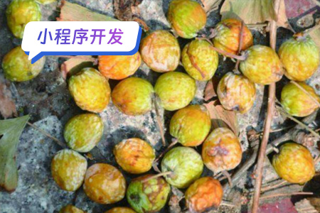 乡村农村特产小程序开发周期及工作量