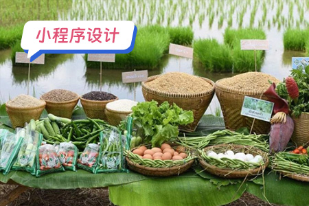 乡村农村特产小程序需要设计哪些功能