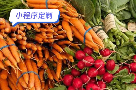 定制一款乡村农村特产小程序方案