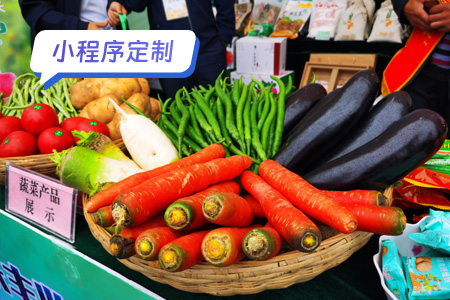 定制一款乡村农村特产小程序方案