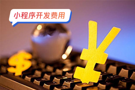 校园数字化小程序开发费用：预算与需求的重要性