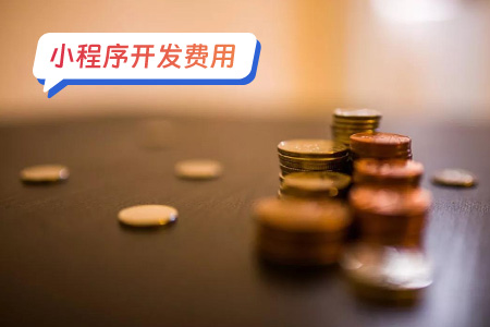 校园数字化小程序开发费用：预算与需求的重要性