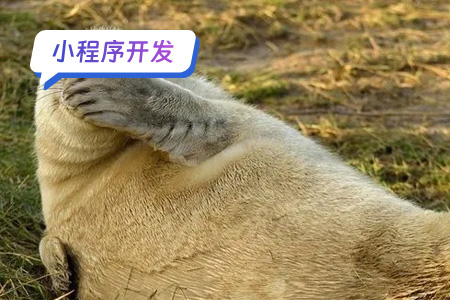 小程序开发：DIY表情包小程序主功能的实现