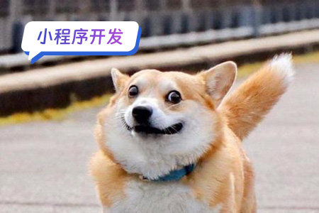 小程序开发：DIY表情包小程序主功能的实现