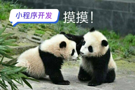 小程序开发：开发DIY表情包小程序需要实现的功能