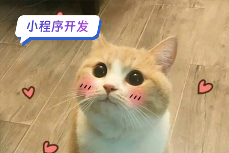小程序开发：开发DIY表情包小程序需要实现的功能