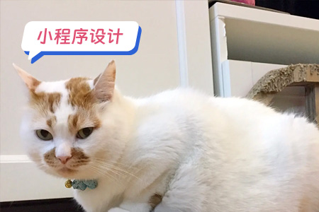 小程序设计：如何设计一个DIY表情包小程序