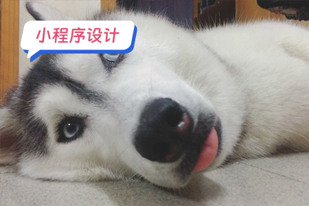 小程序设计：如何设计一个DIY表情包小程序