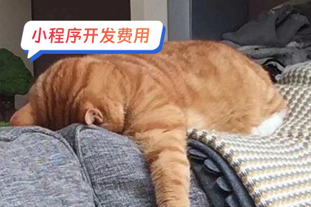 小程序费用：搭建一个DIY表情包小程序的费用