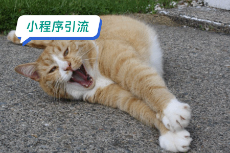 小程序引流：高效快速地引流DIY表情包小程序