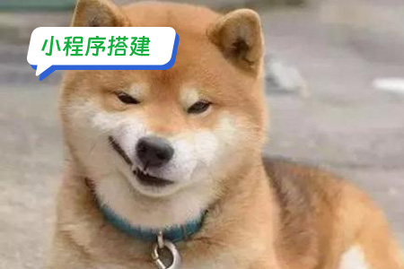 小程序搭建：搭建一个DIY表情包小程序的步骤