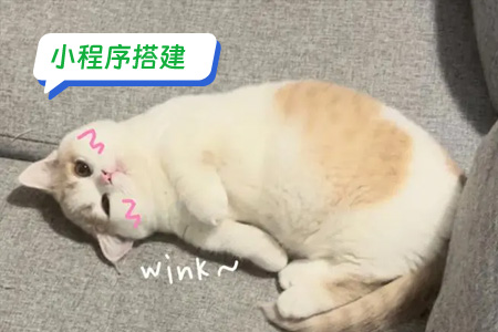 小程序搭建：搭建一个DIY表情包小程序的步骤