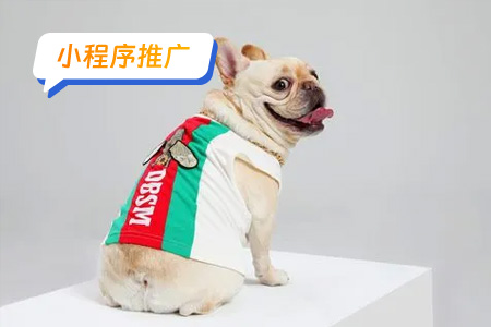 宠物医疗小程序推广方案解析
