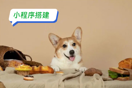 如何搭建你的宠物医疗小程序