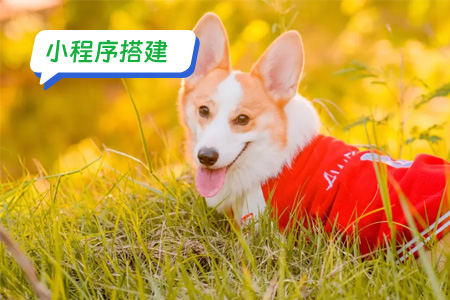 如何搭建你的宠物医疗小程序