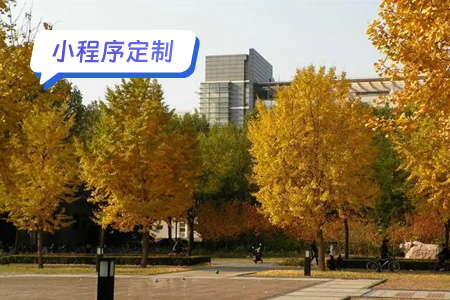 定制一款大学校园墙小程序：让校园生活更加便捷