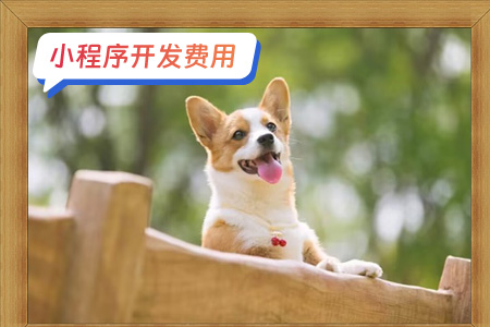 宠物医疗小程序开发费用分析
